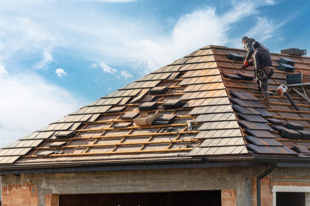 Best Metal Roofing Installation  in Graysville, TN