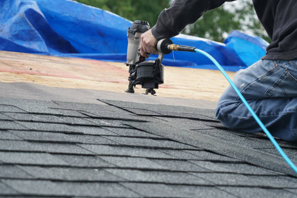 Best Storm Damage Roof Repair  in Graysville, TN